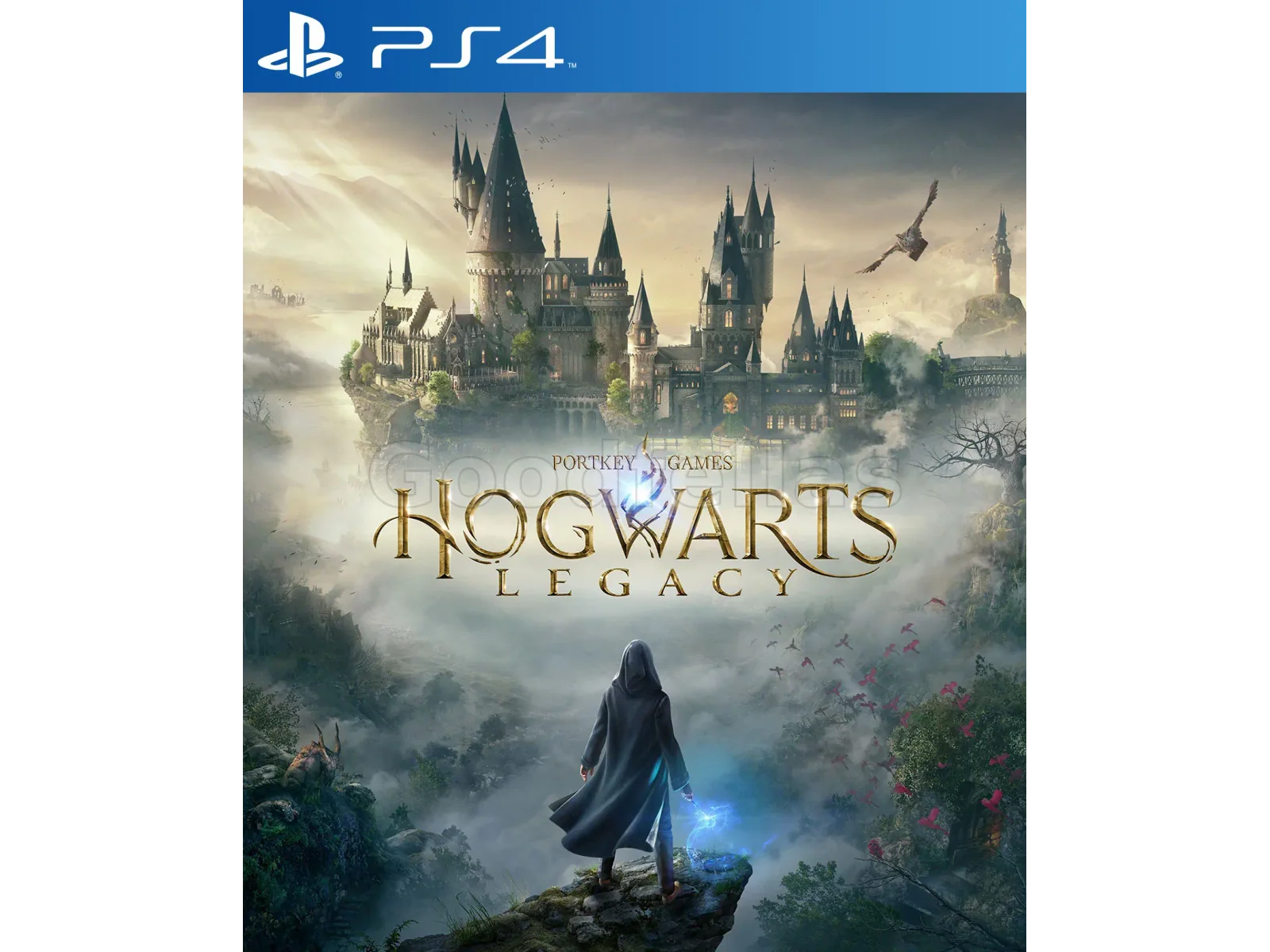 Hogwarts Legacy – PlayStation 4