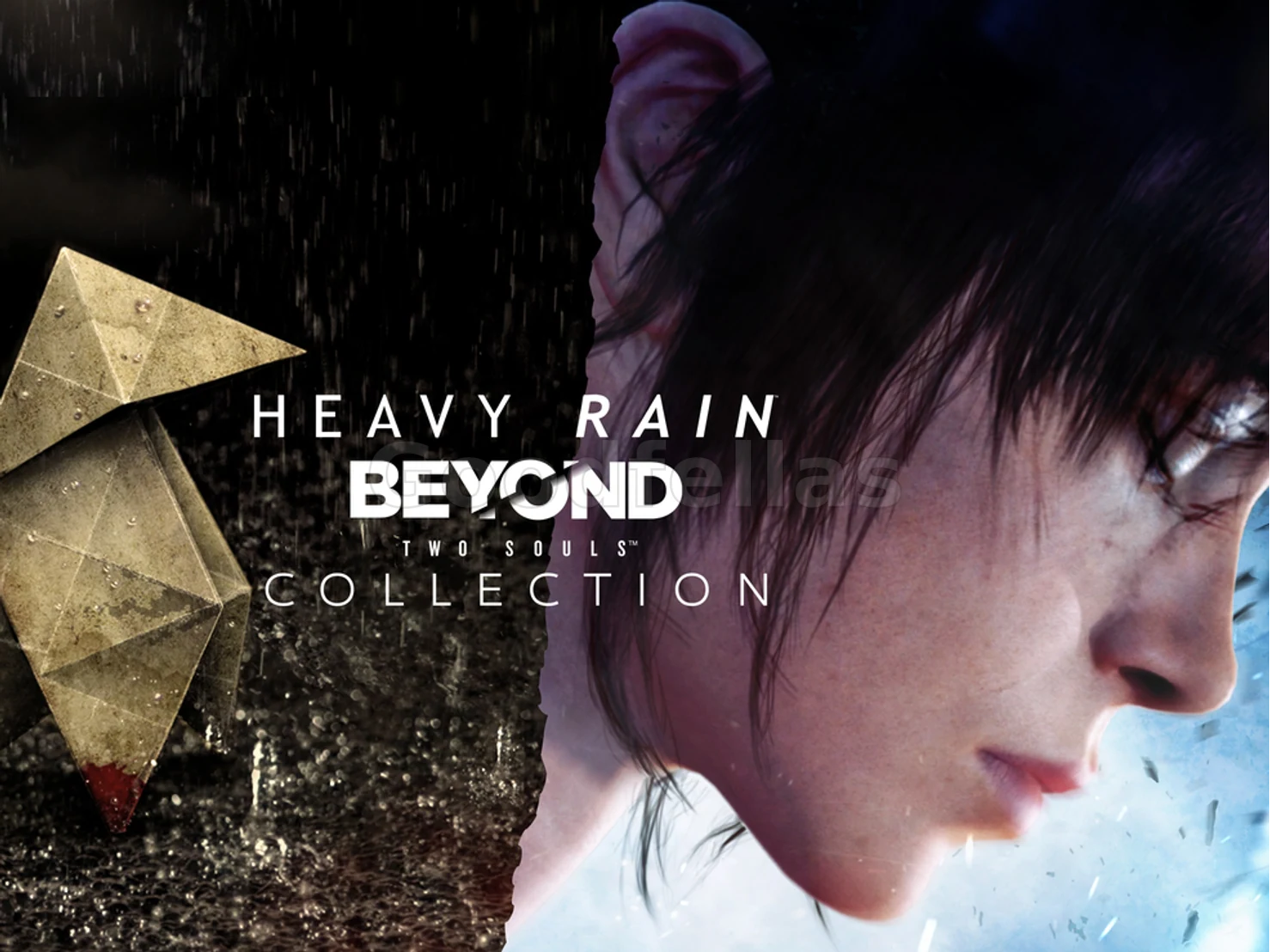 Heavy Rain & Beyond: Two Souls Collection