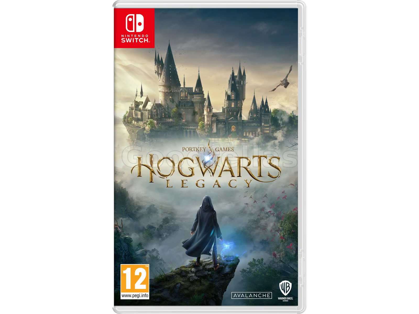 Hogwarts Legacy – Nintendo Switch