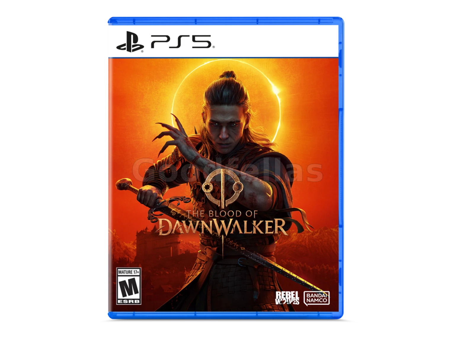 The Blood of Dawnwalker – PlayStation 5 – Standard