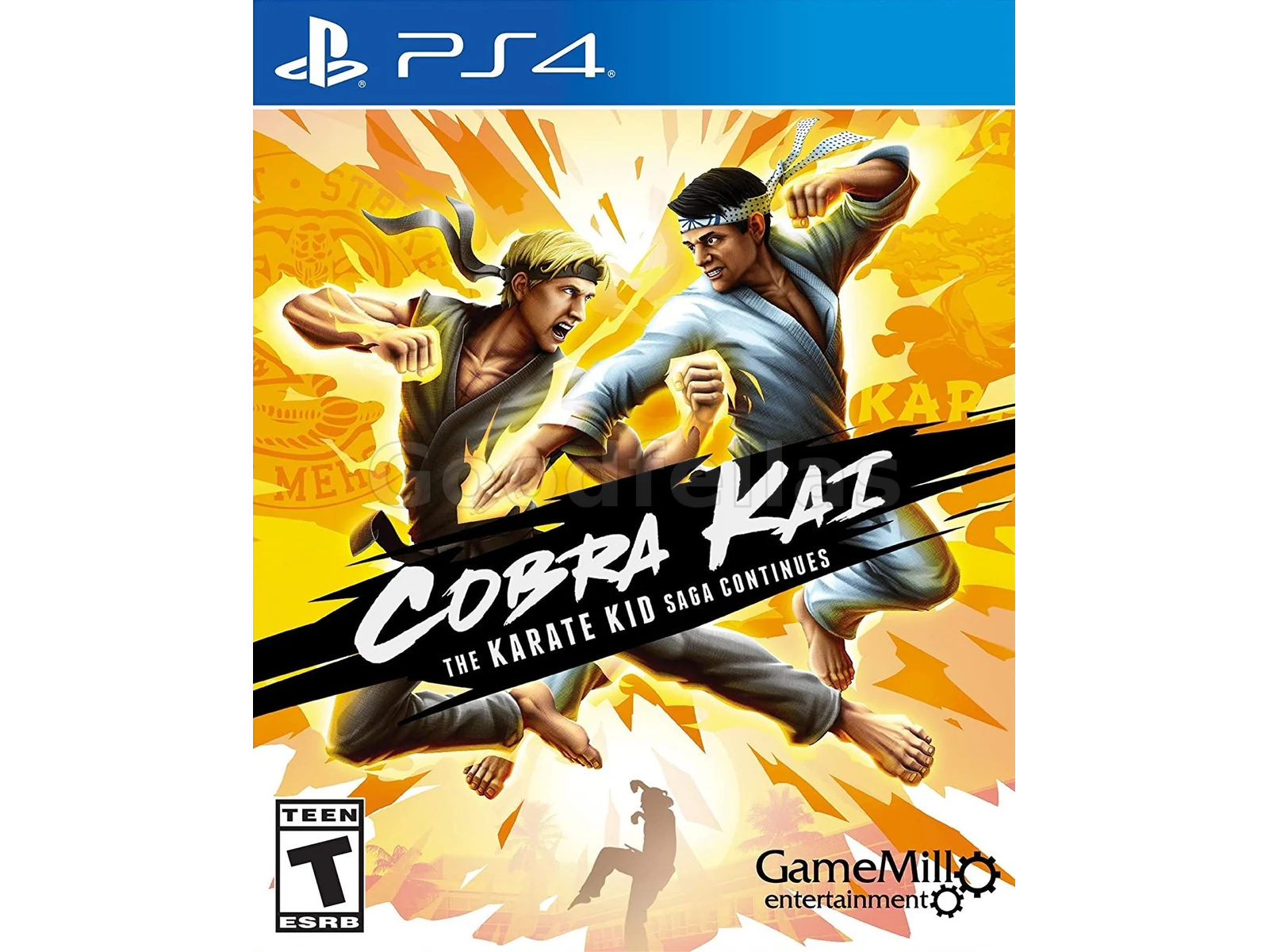 Cobra Kai: The Karate Kid Saga Continues – Nintendo Switch